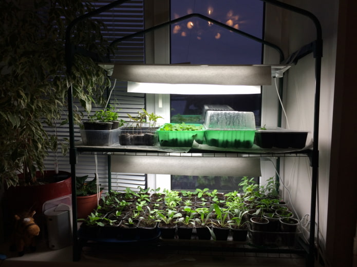 Illuminated shelf Illuminated shelf