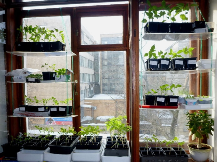 Hanging shelves Hanging shelves