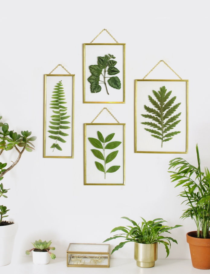 Herbarium in glass Herbarium in glass