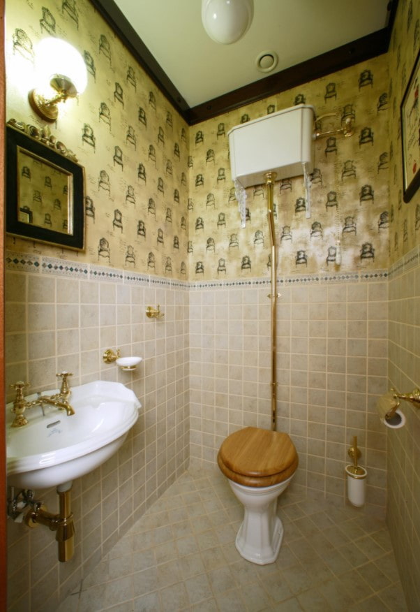 toilet in english style