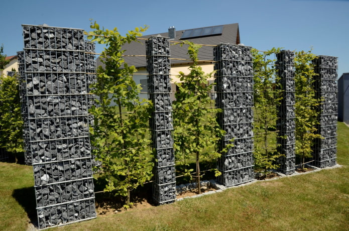 tall gabions in landscape design