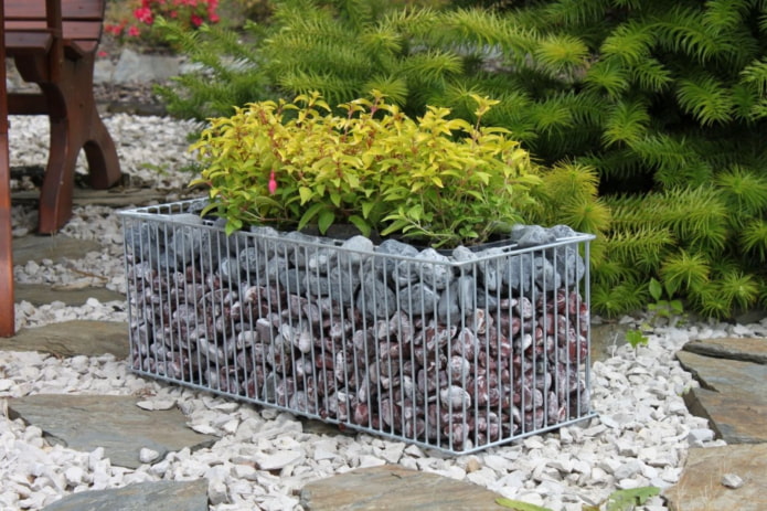 flower bed of gabions