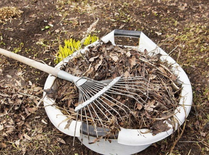 Spring cleaning Spring cleaning