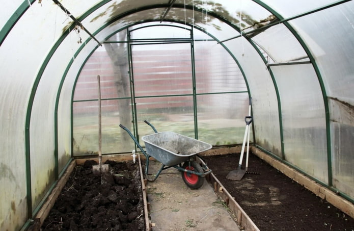 Greenhouse cleaning Greenhouse cleaning