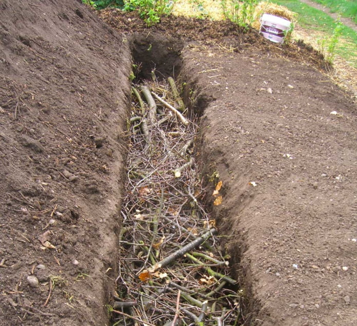 drainage for lazy beds