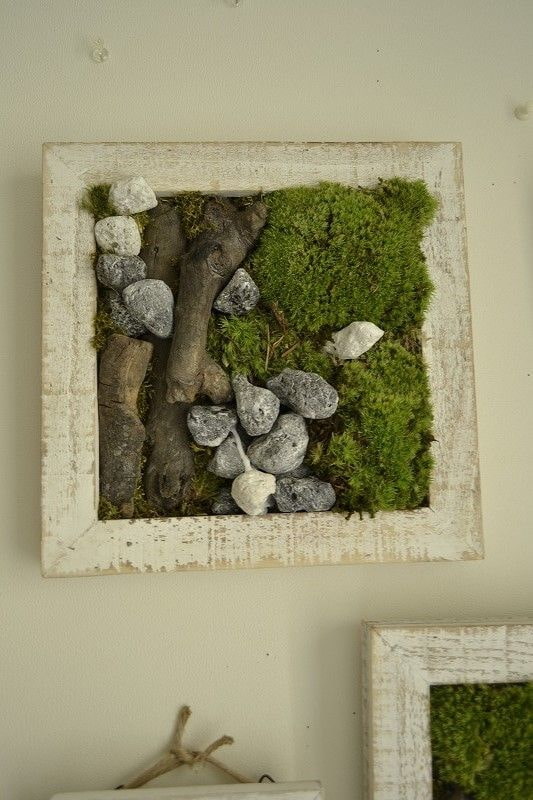 Panel of moss and stones Panel of moss and stones