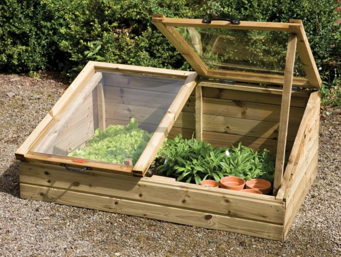 Wooden greenhouse