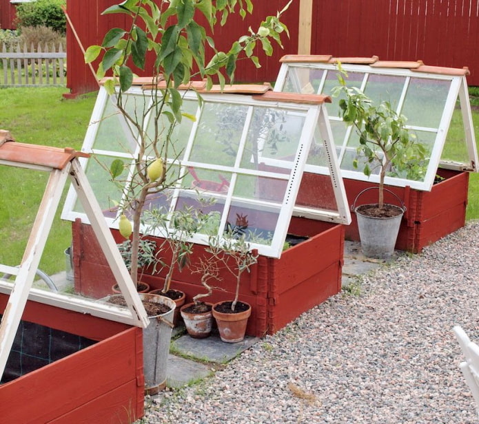 Mini greenhouses