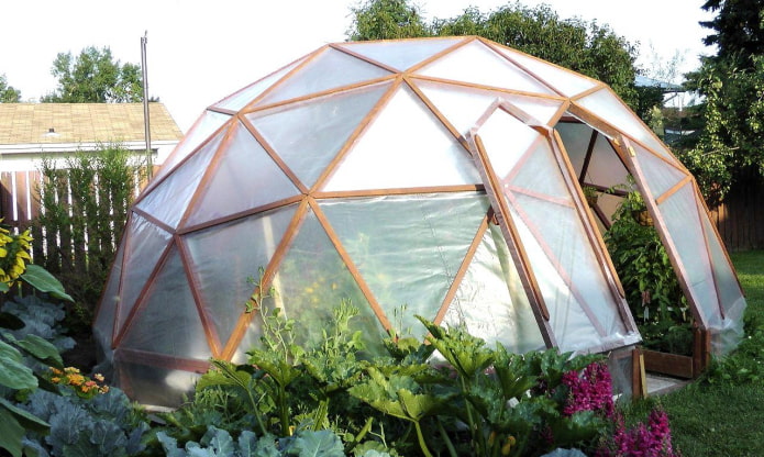 Greenhouse in the form of a geo-dome