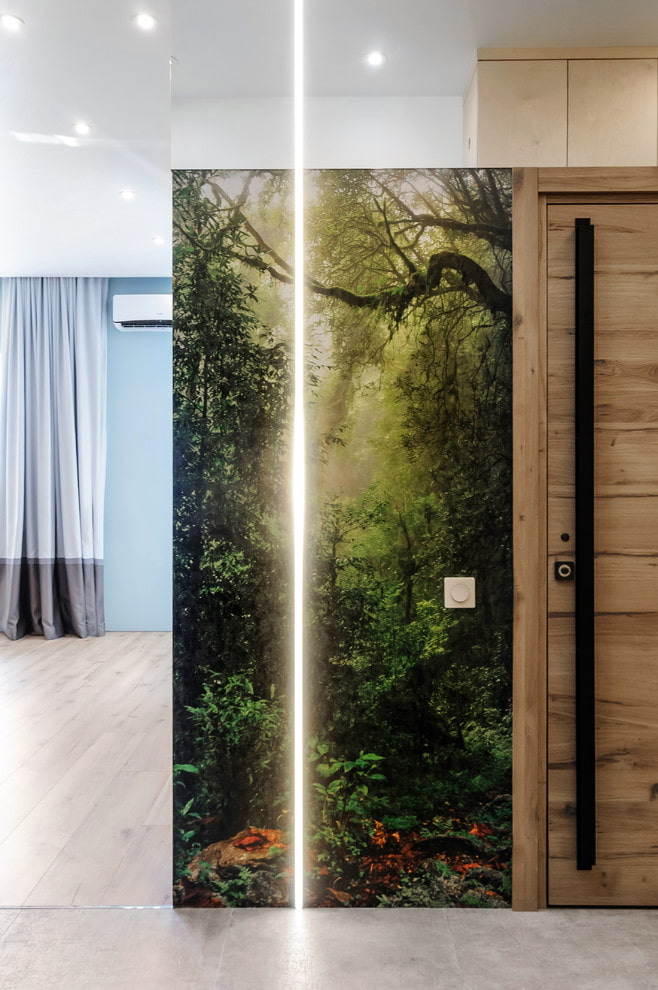 Forest landscape and lighting