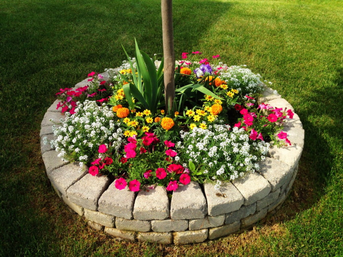 round flowerbed with cobblestone sides