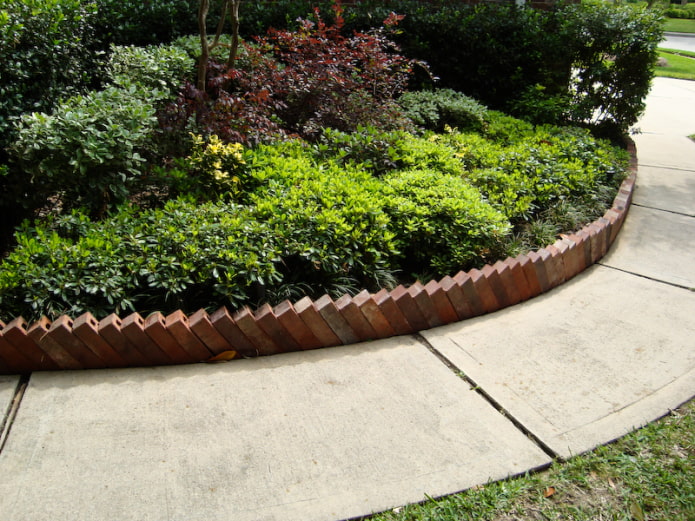 a hedge for a flower garden of bricks dug in at an angle