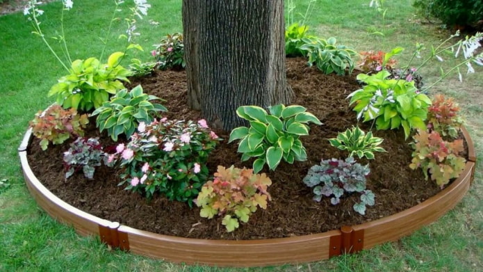 round edging for a flower bed made of boards connected by iron loops