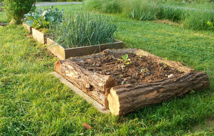 square flower bed and whole logs border