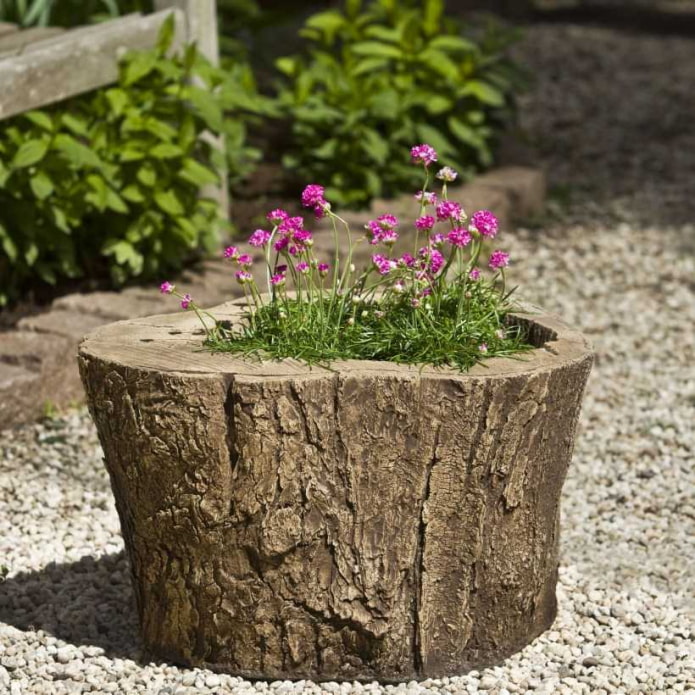 mini-flower bed inside the stump
