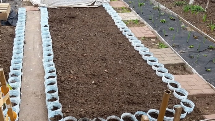 border of large cut plastic bottles for planting flowers