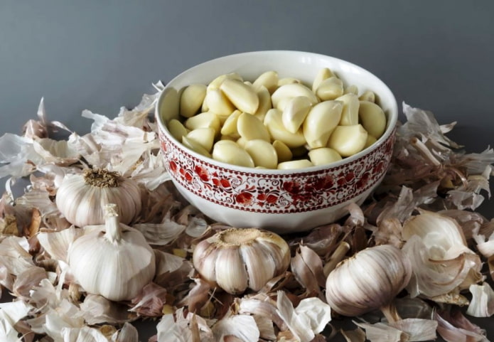 how to use garlic for ants how to use garlic for ants