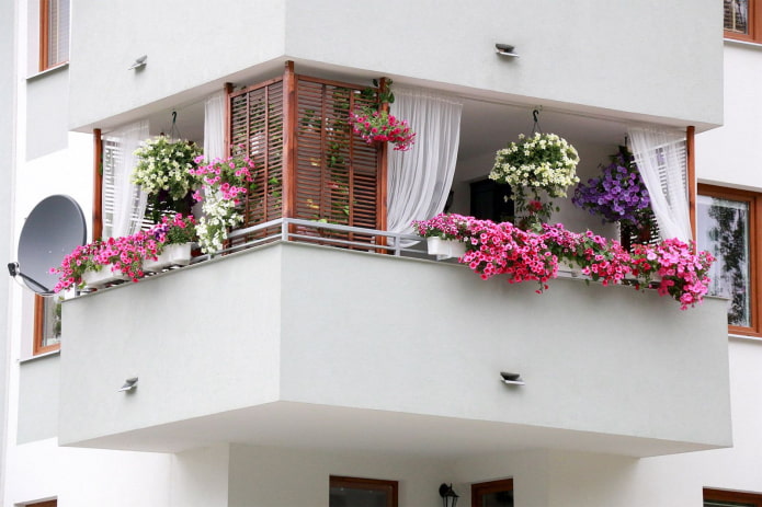 decoration of the balcony with flowers decoration of the balcony with flowers