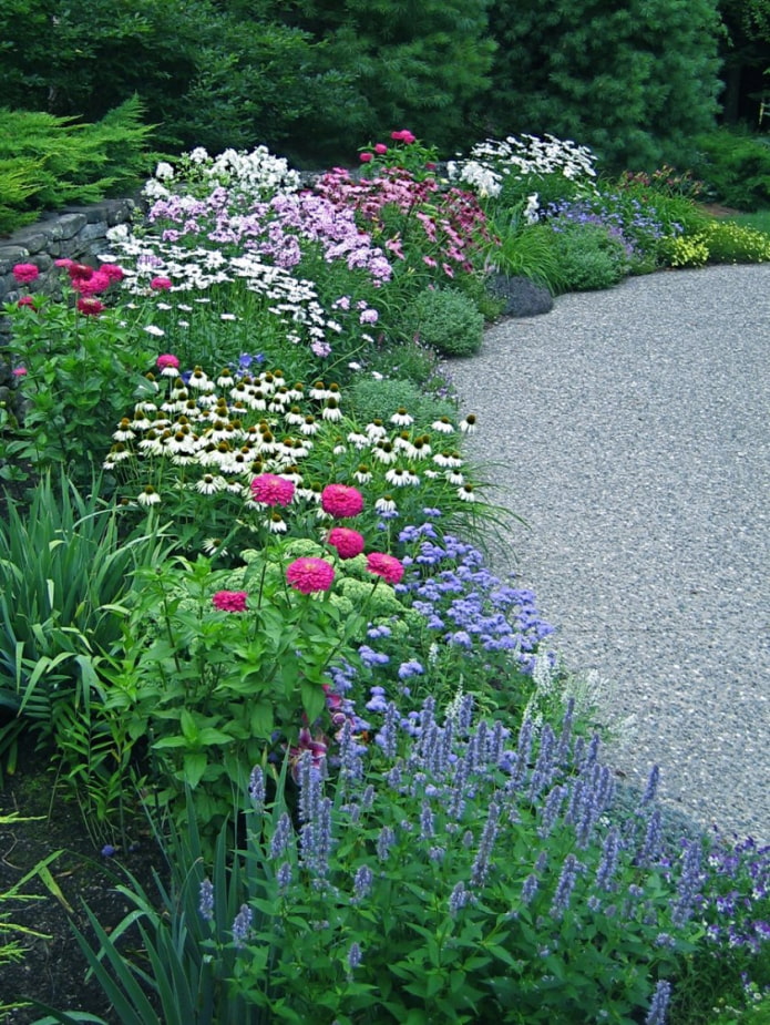 mixborder of flowers
