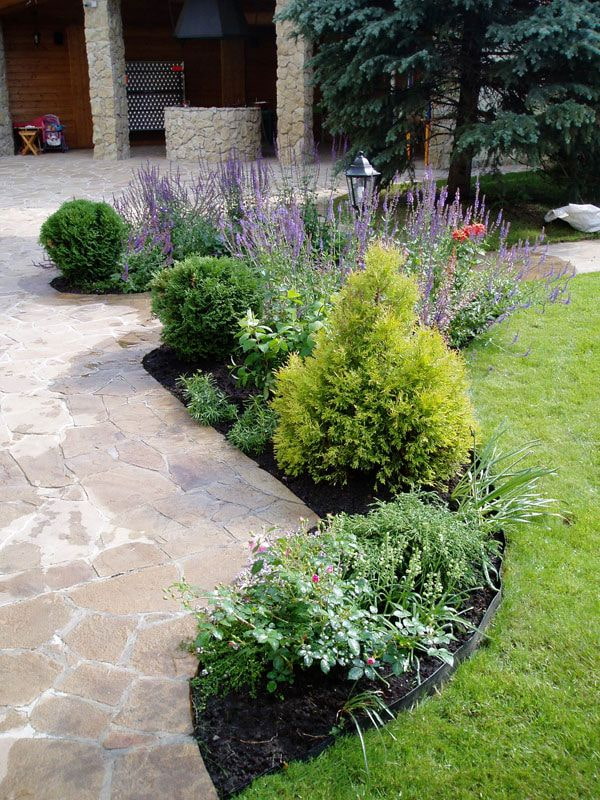 miniature tree in a flower bed