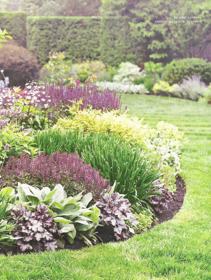 low plants for mixborder