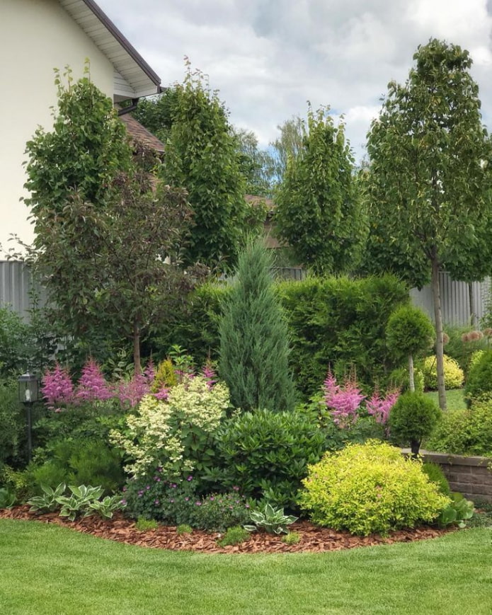 shrubs in mixborder