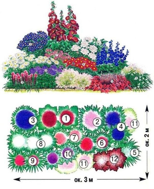 flower mixborder