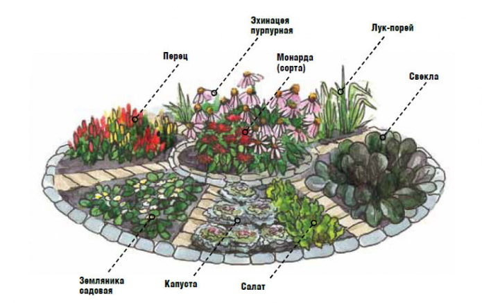 decorative bed with beets