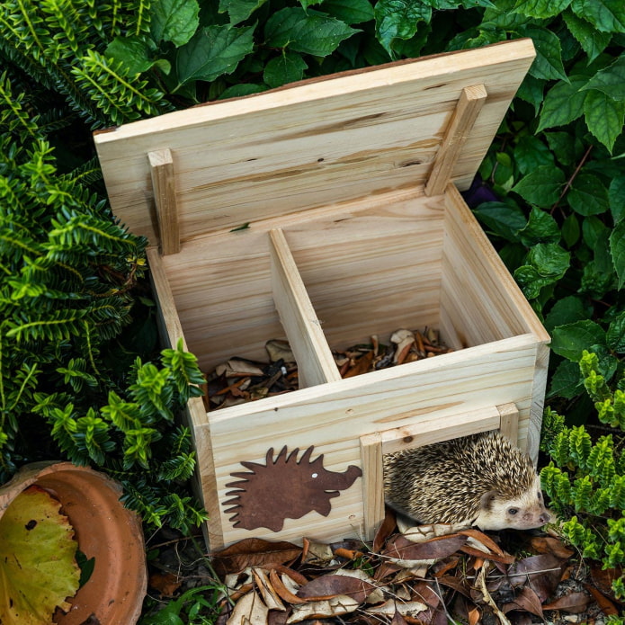 House for a hedgehog House for a hedgehog