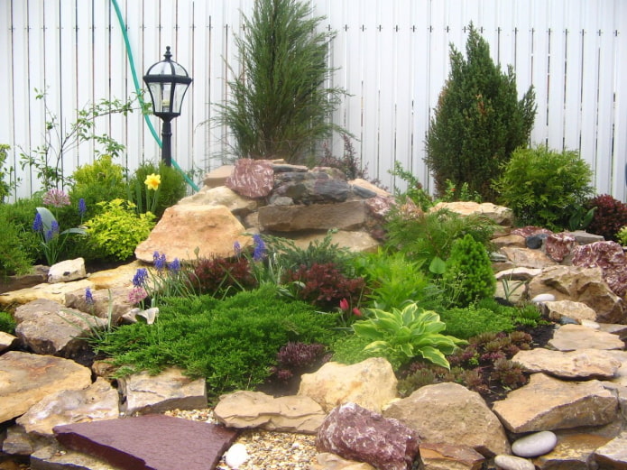 alpine slide by the fence