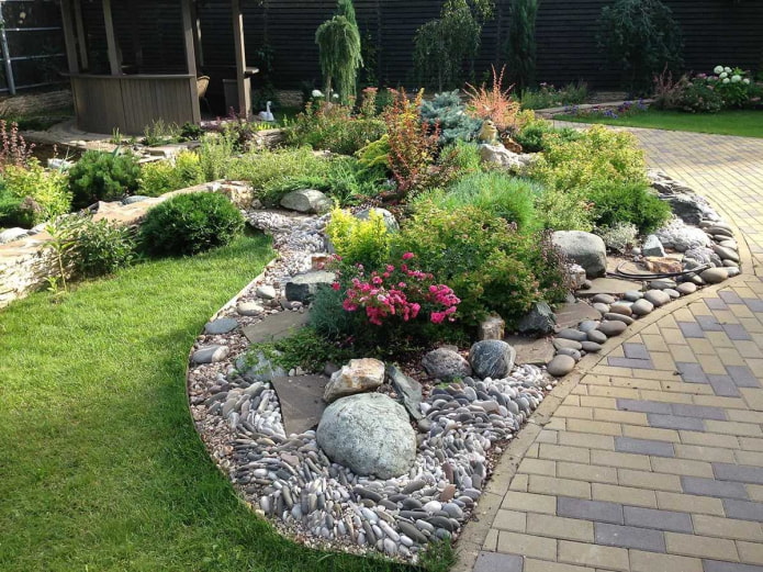 alpine slide along the path