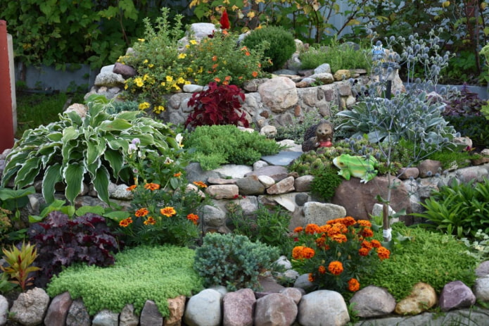 how to care for an alpine slide