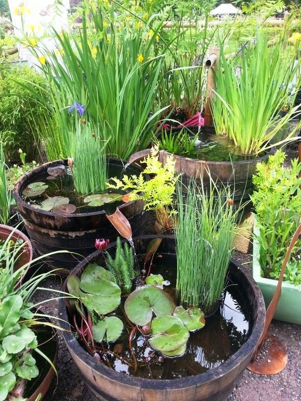 Mini reservoirs Mini reservoirs