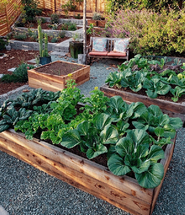 Bench in the garden Bench in the garden