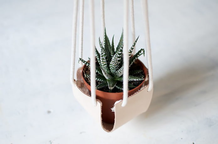 Ready pots Ready pots