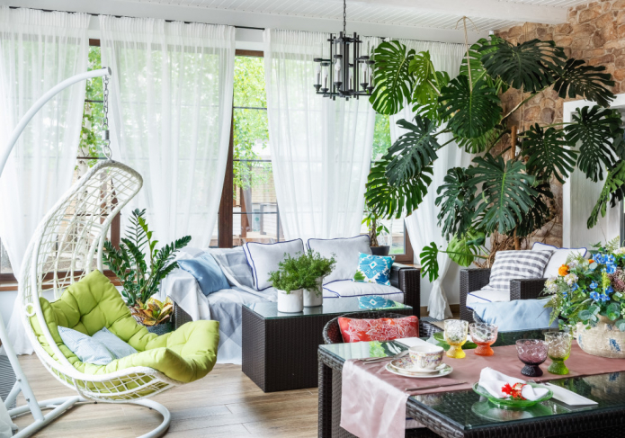Monstera on the veranda Monstera on the veranda
