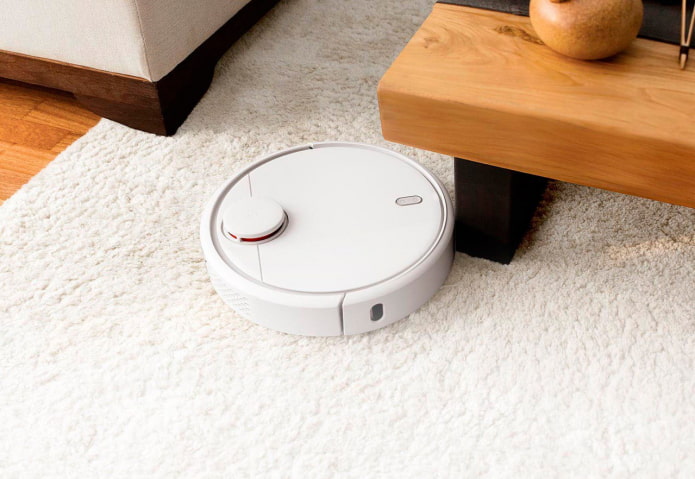 Robot cleans carpet