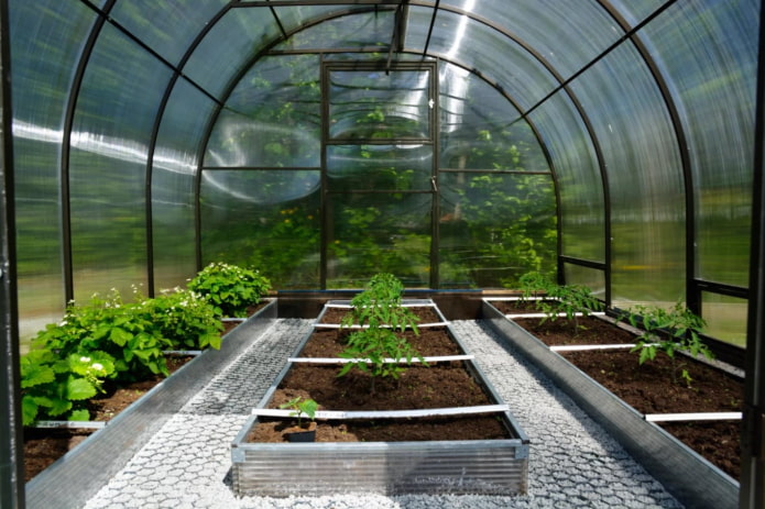 galvanized beds in the greenhouse