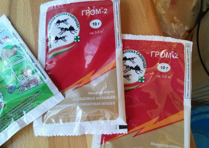 granules for indoor flowers from midges granules for indoor flowers from midges