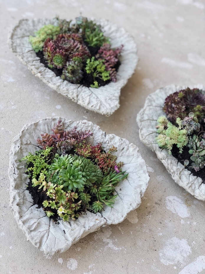 Concrete planter