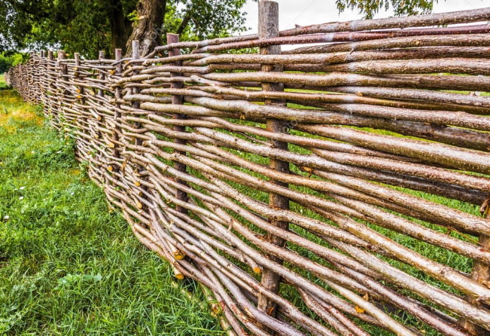 Wicker fence Wicker fence