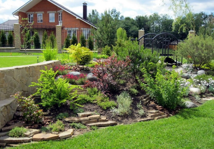 alpine slide alpine slide