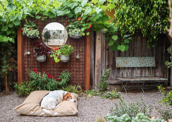 Round mirror on the fence Round mirror on the fence