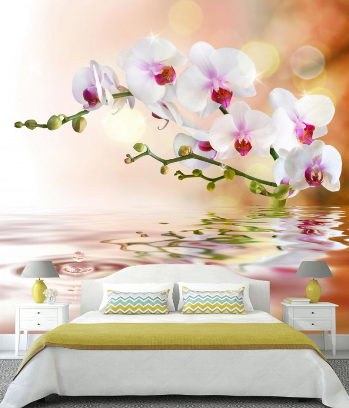 photomurals with orchids photomurals with orchids