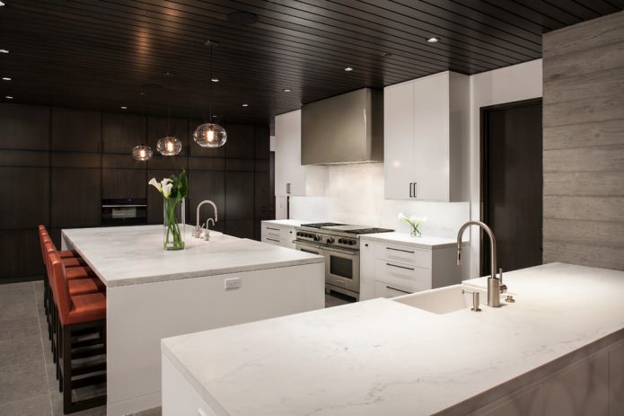 black and white kitchen design