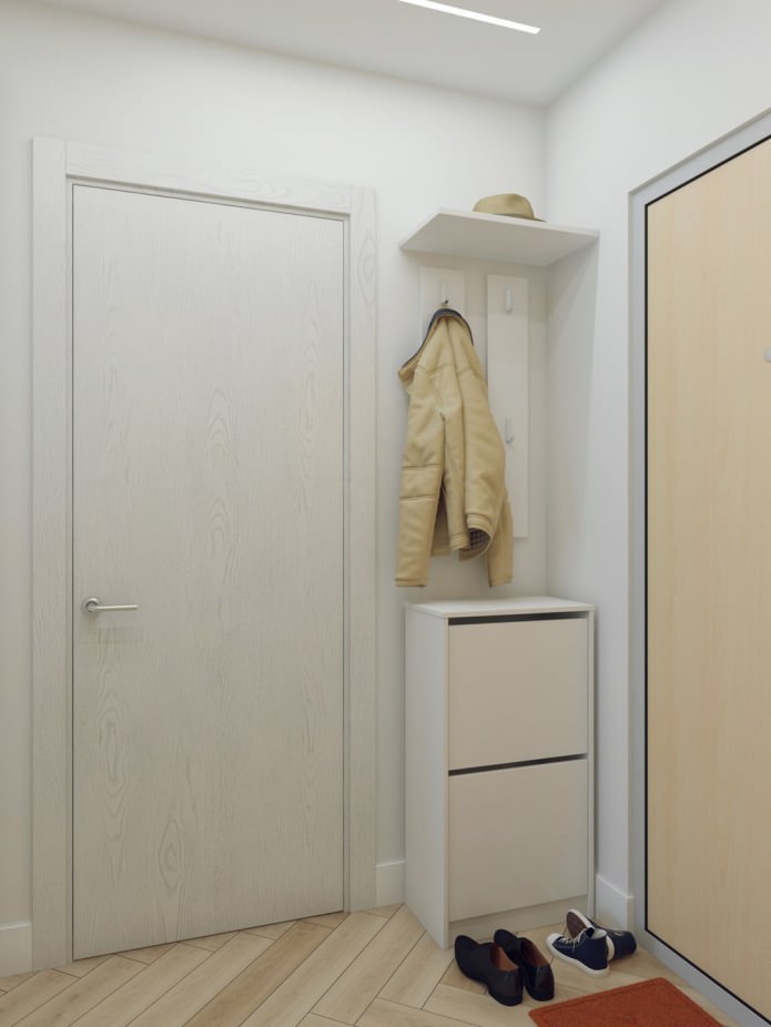 entrance hall in the design of an apartment of 37 sq. m.