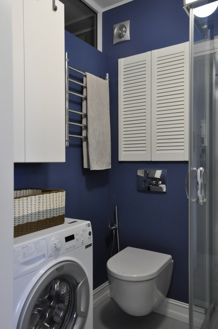 toilet and storage system