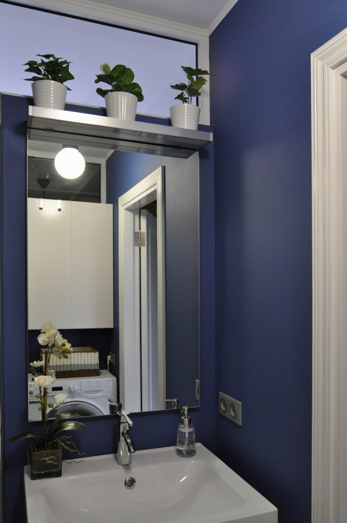 mirror with flowers near the transom window