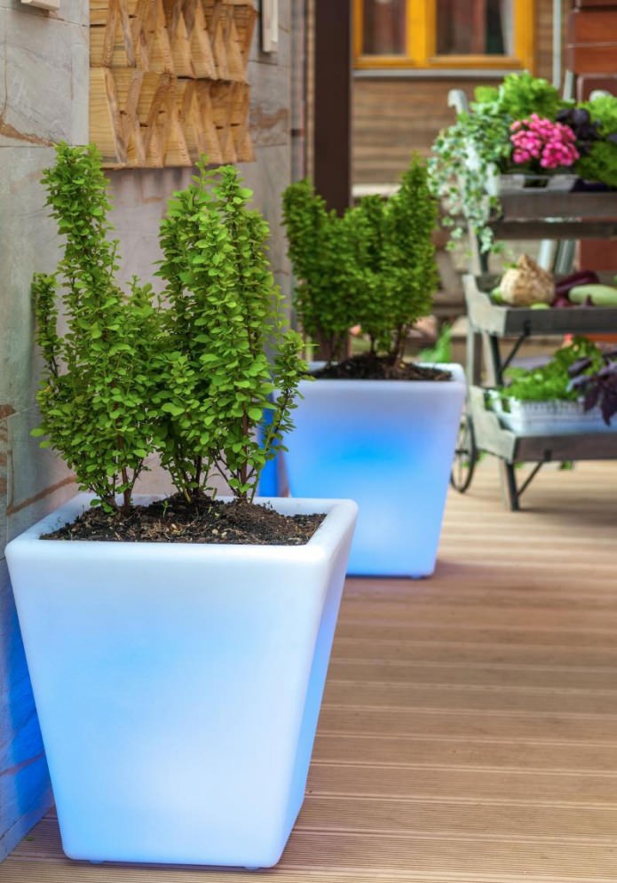 flower pots in patio design