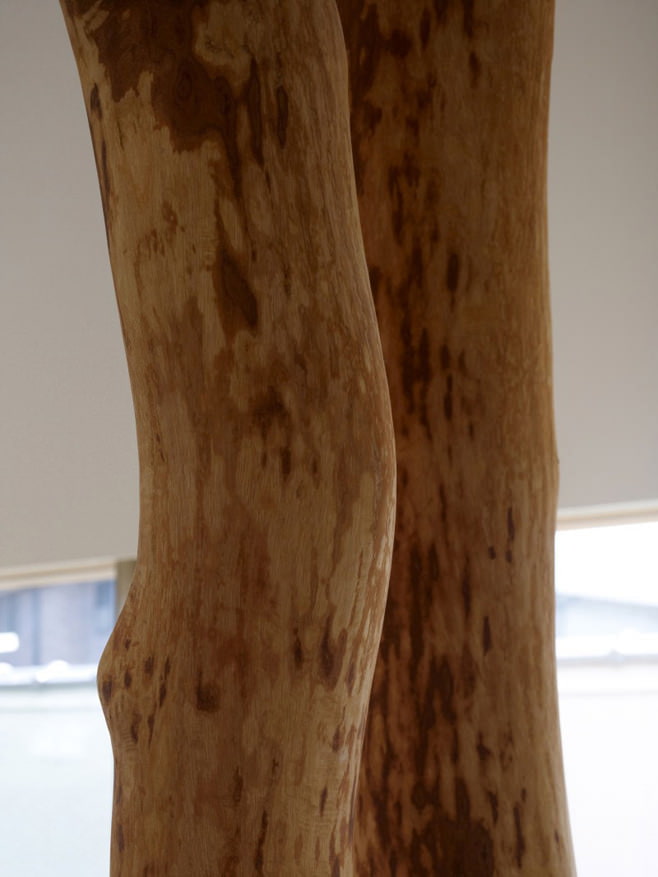 trees inside the house